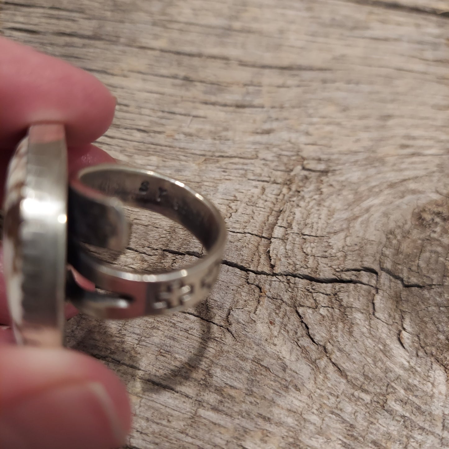 Wild Horse Square Ring