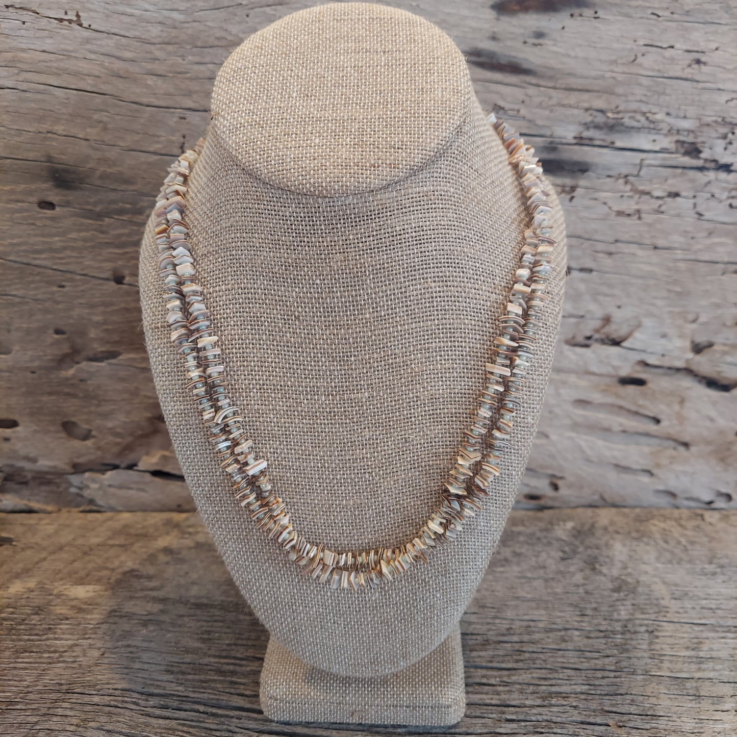 Shell Necklace