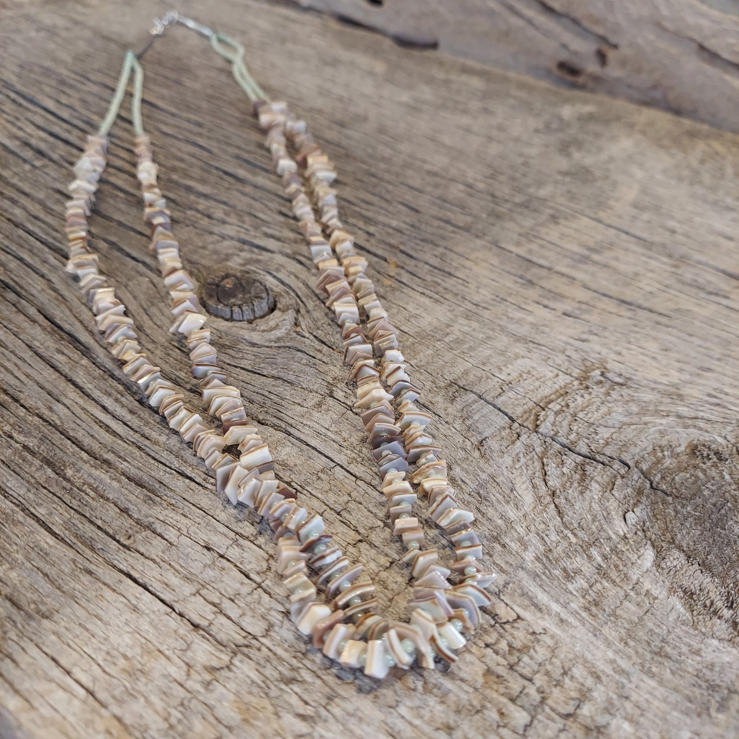 Shell Necklace