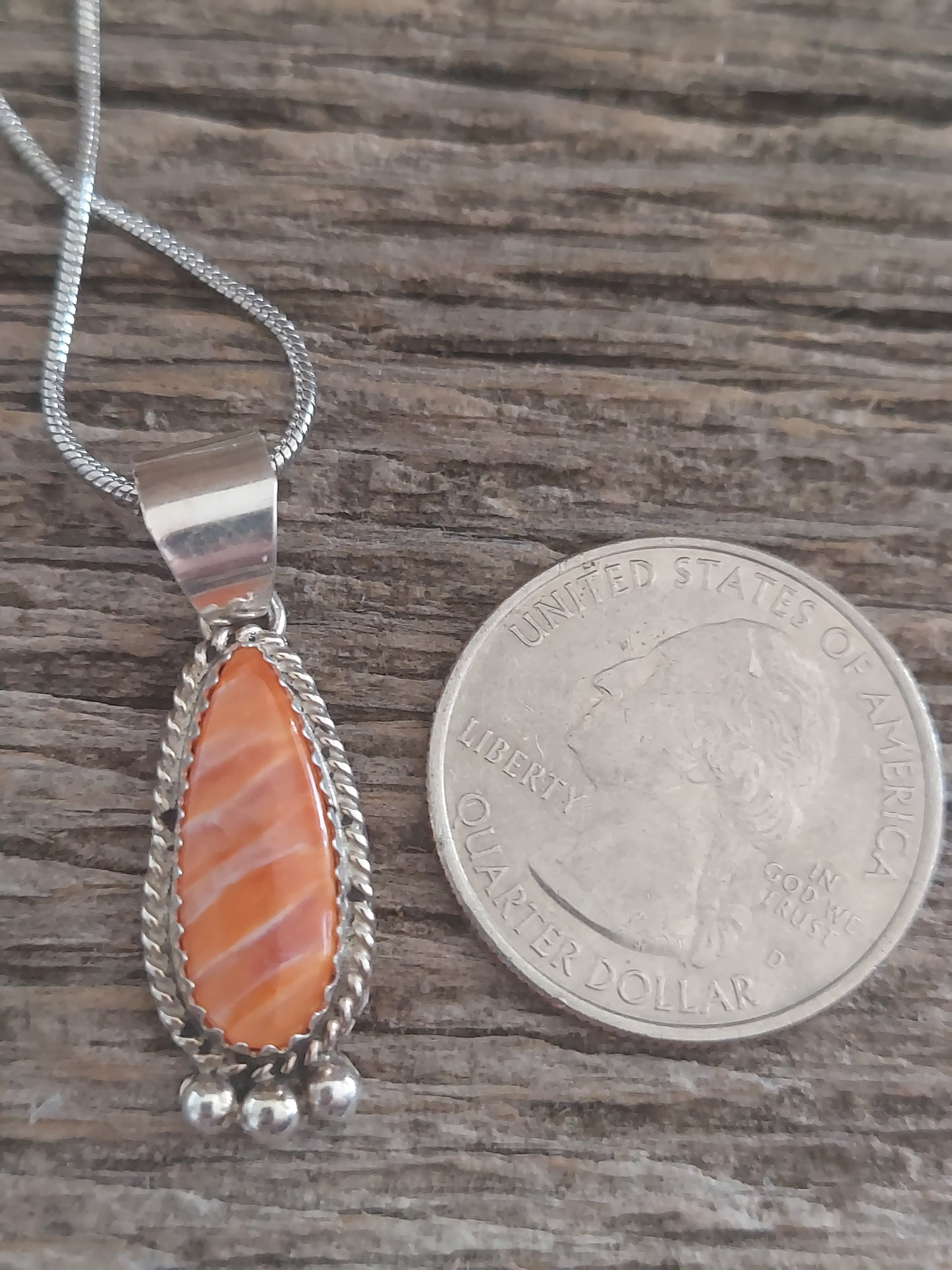Orange Oyster