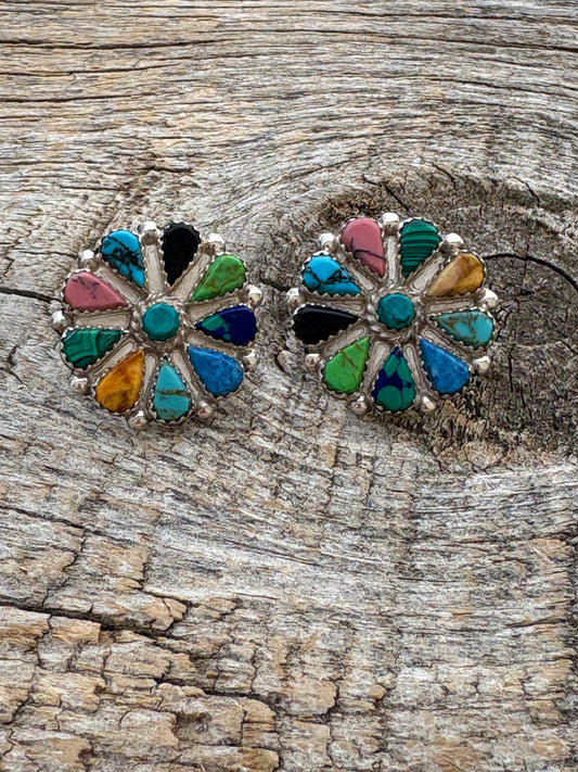 Multicolor Earrings