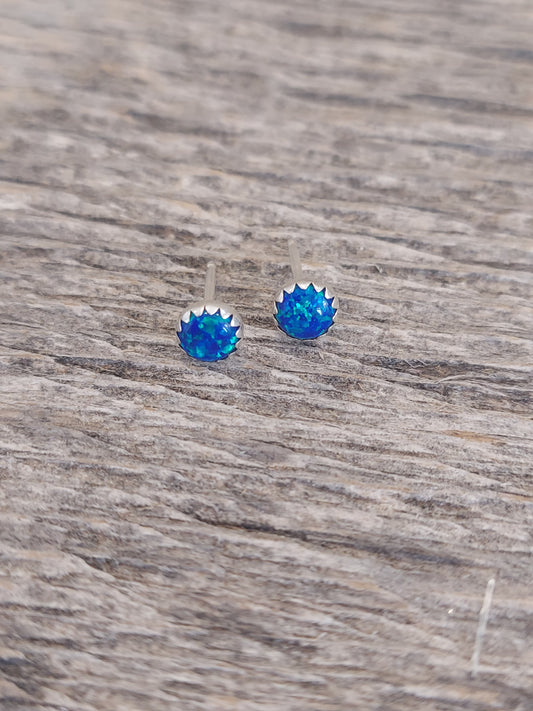 Dark Blue Opal Earrings