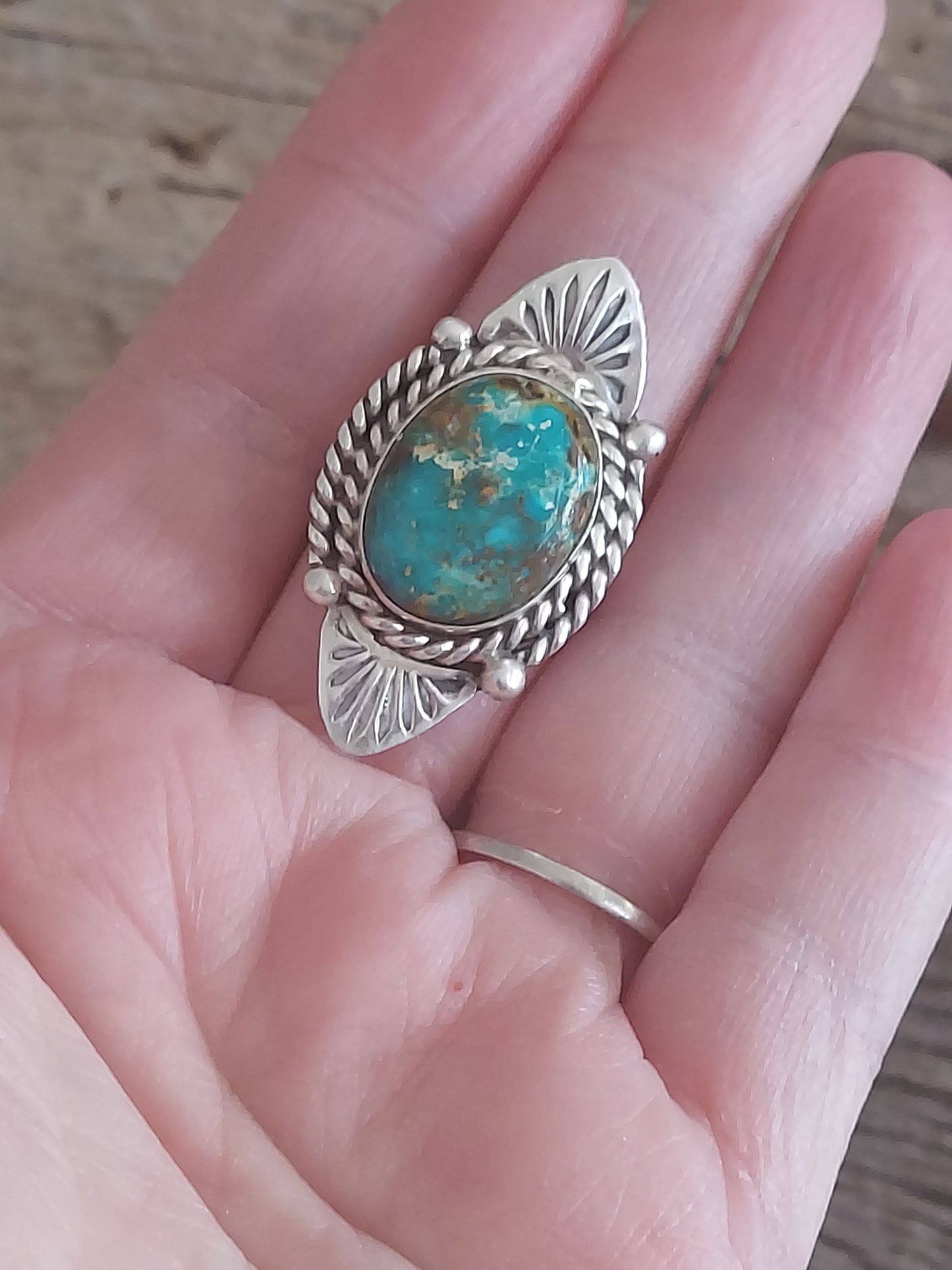 Turquoise Shield