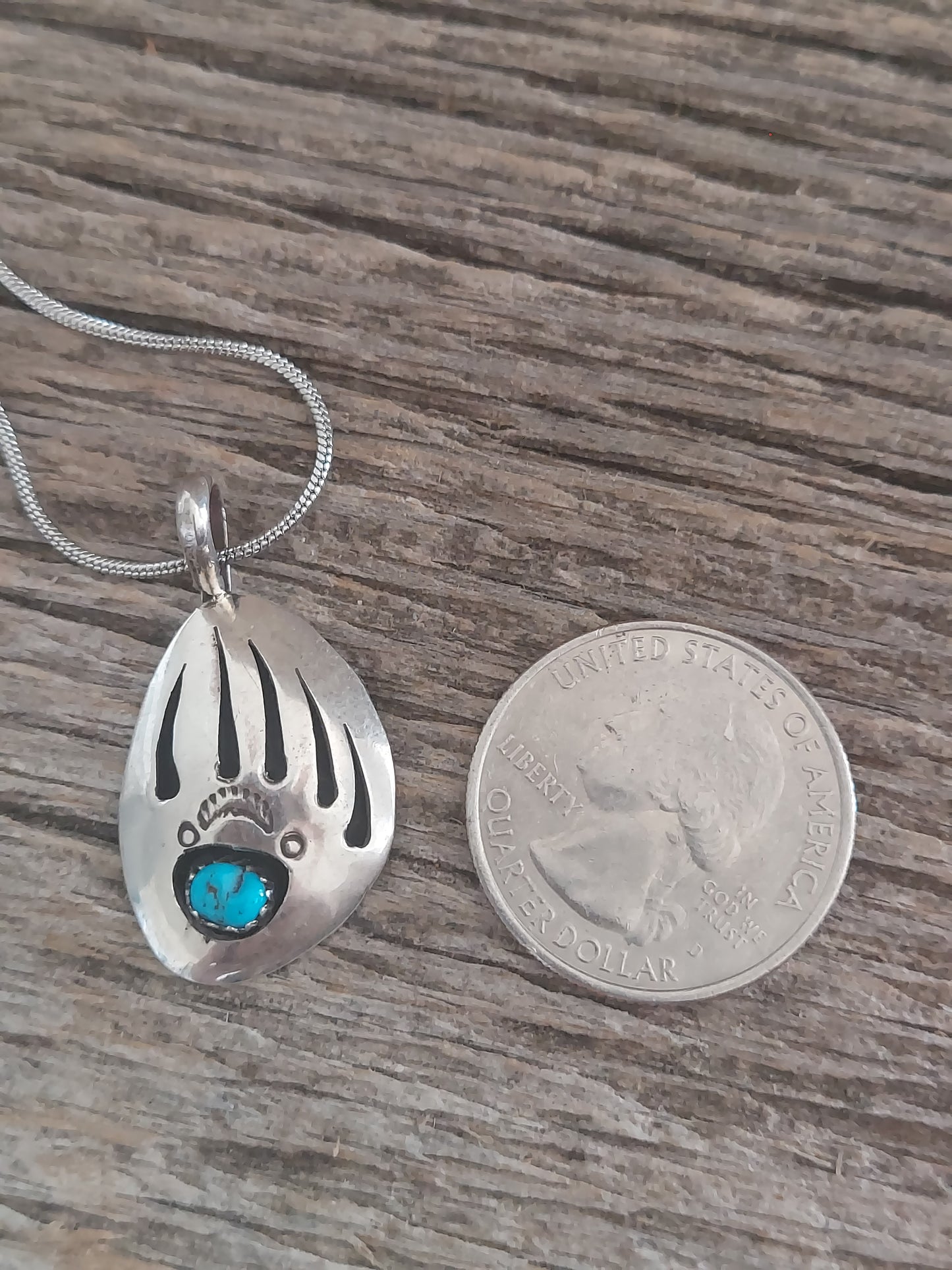 Silver Bear Claw