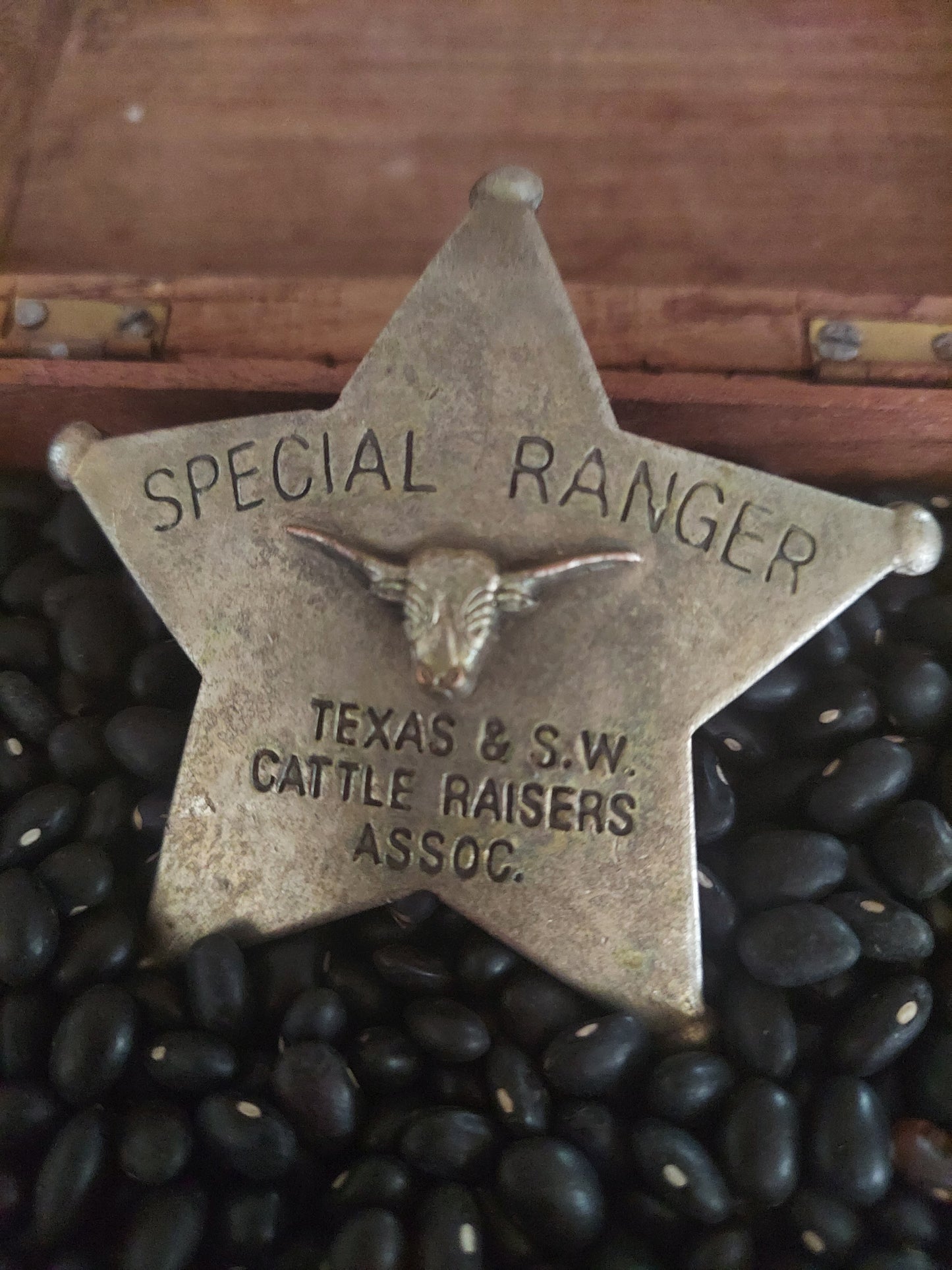 Metal Sheriff Badge Special Ranger