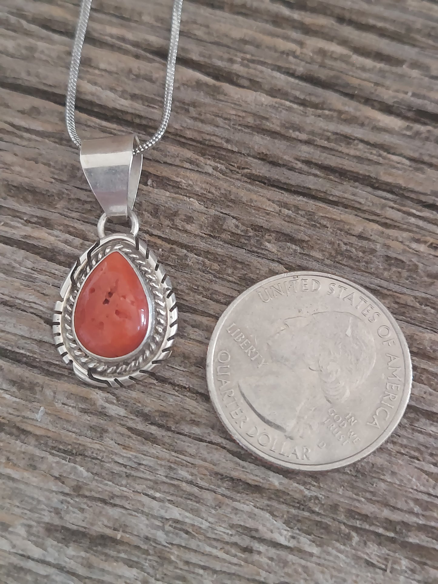 Ocean Red Oyster