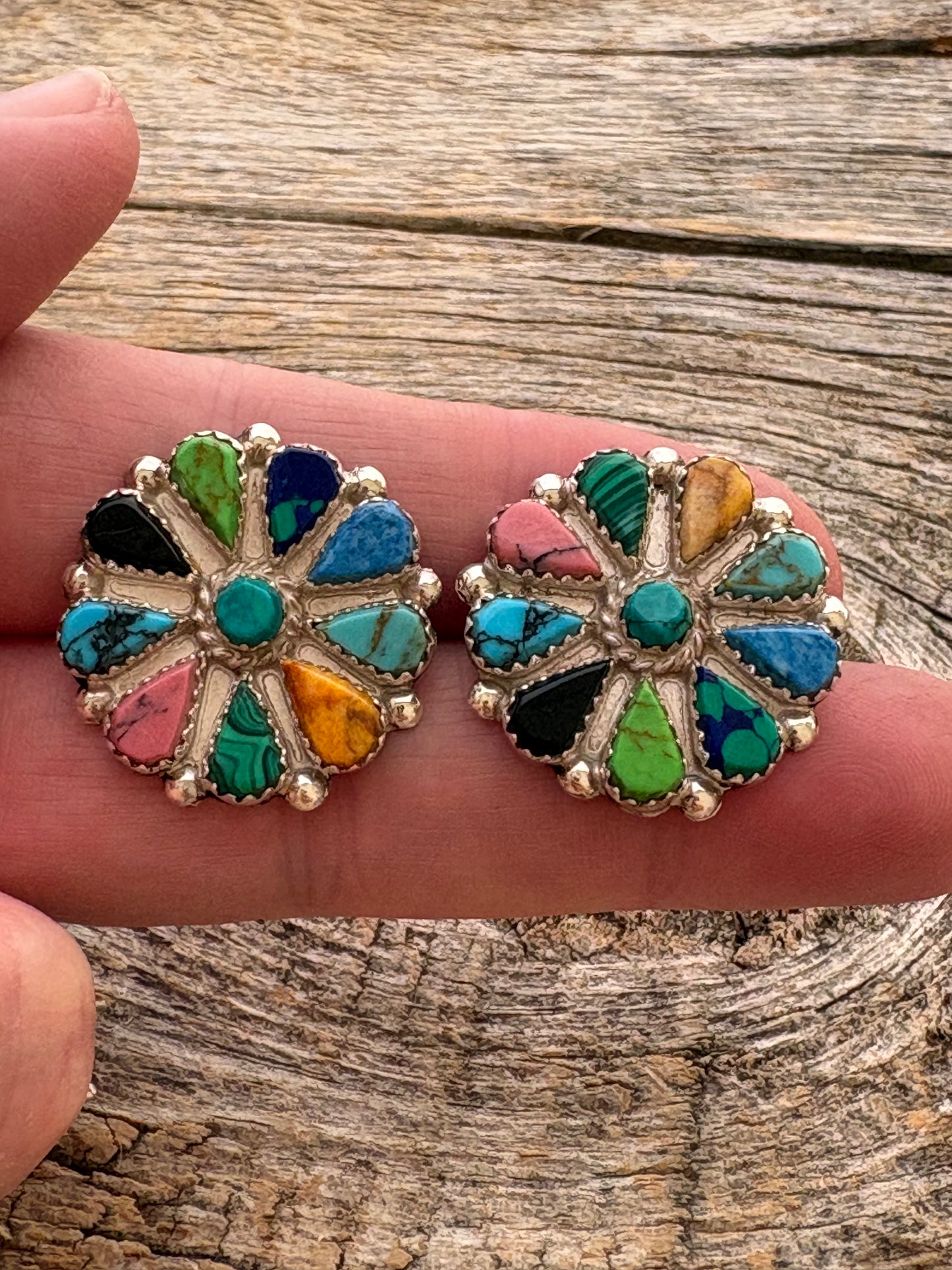 Multicolor Earrings
